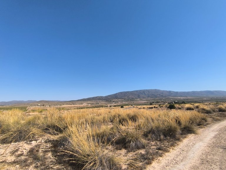 Plot for Sale in Pinoso, Alicante 6