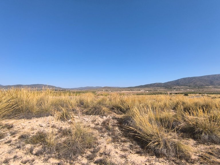 Plot for Sale in Pinoso, Alicante 5
