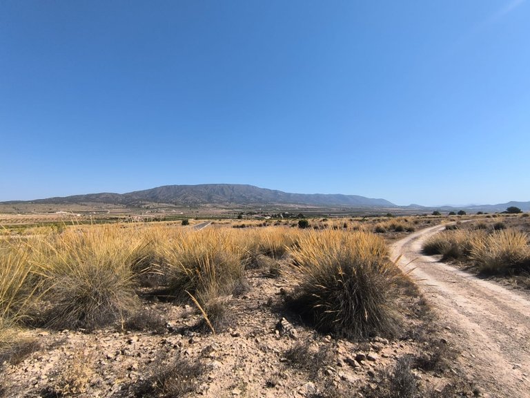 Plot for Sale in Pinoso, Alicante 7