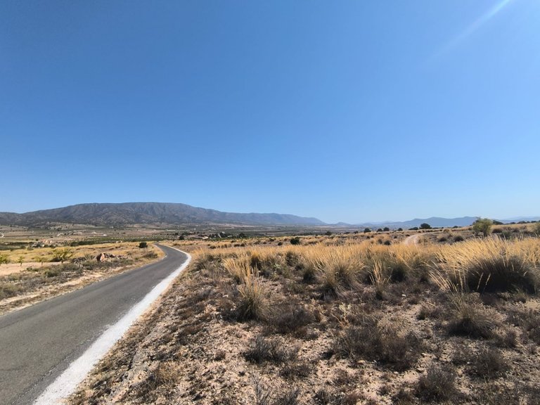 Plot for Sale in Pinoso, Alicante 8
