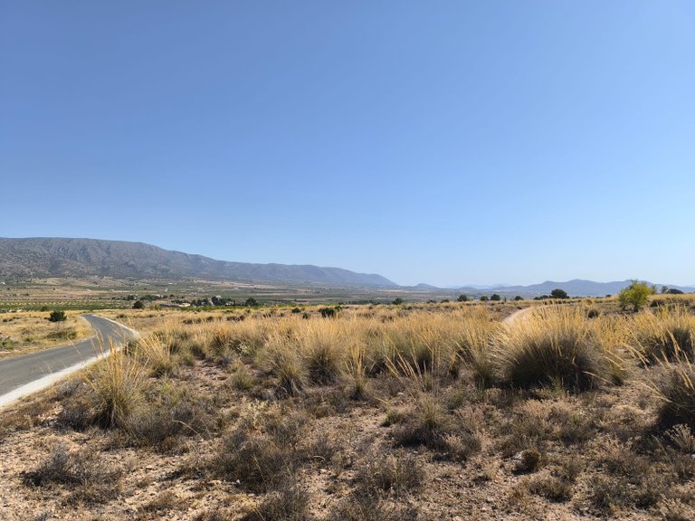 Plot for Sale in Pinoso, Alicante 1