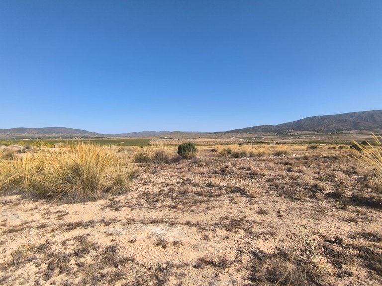 Plot for Sale in Pinoso, Alicante 4