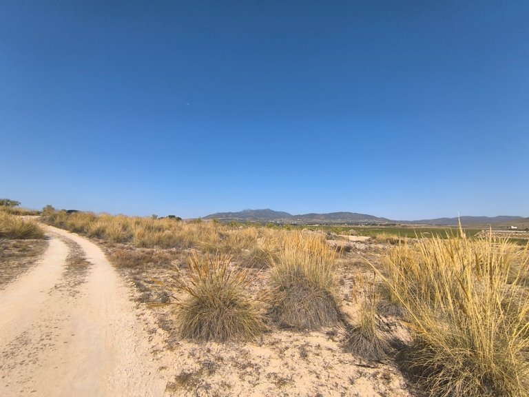 Plot for Sale in Pinoso, Alicante 2