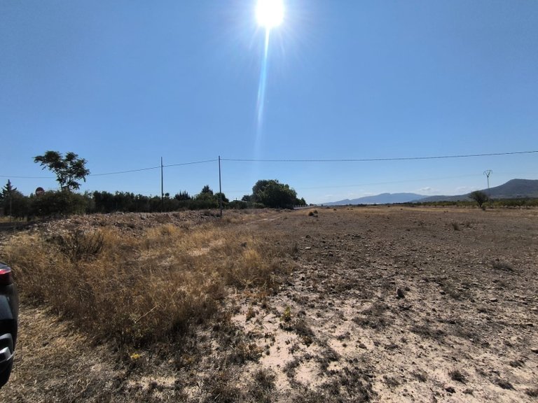 Plot for Sale in Pinoso, Alicante 4