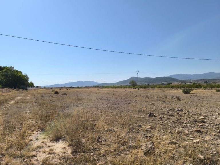 Plot for Sale in Pinoso, Alicante 2