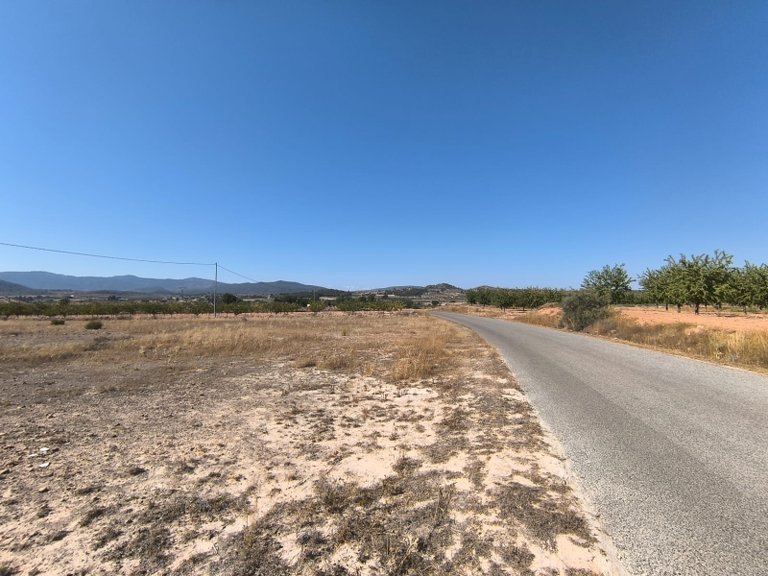 Plot for Sale in Pinoso, Alicante 3
