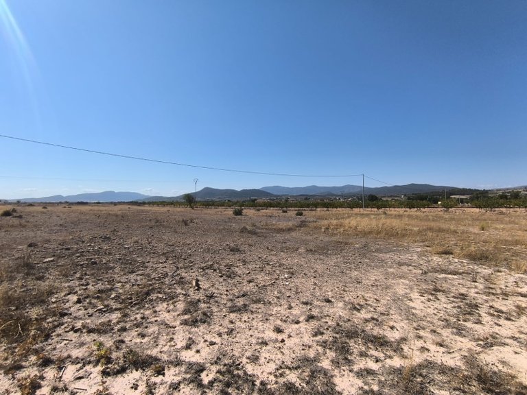Plot for Sale in Pinoso, Alicante 5