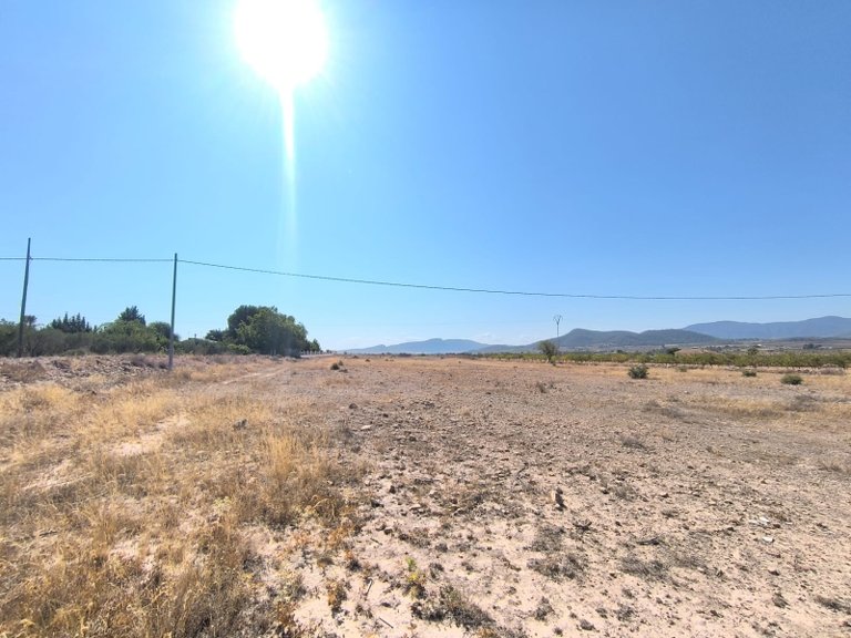 Plot for Sale in Pinoso, Alicante 1