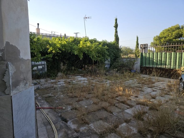 Country House for Sale in Monovar, Alicante 24
