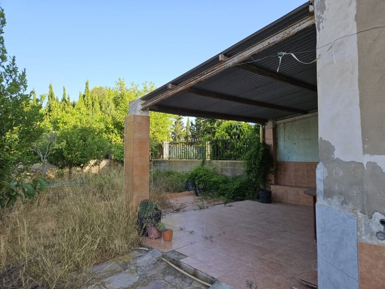 Country House for Sale in Monovar, Alicante 18