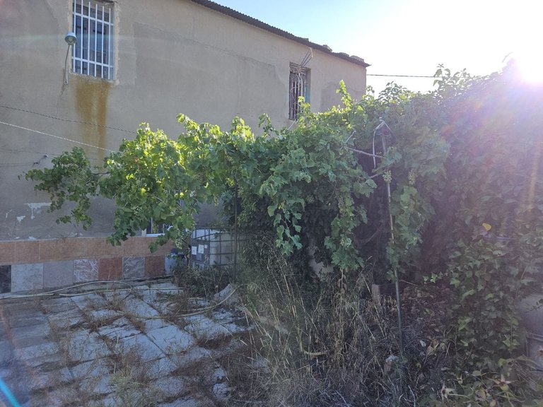 Country House for Sale in Monovar, Alicante 27