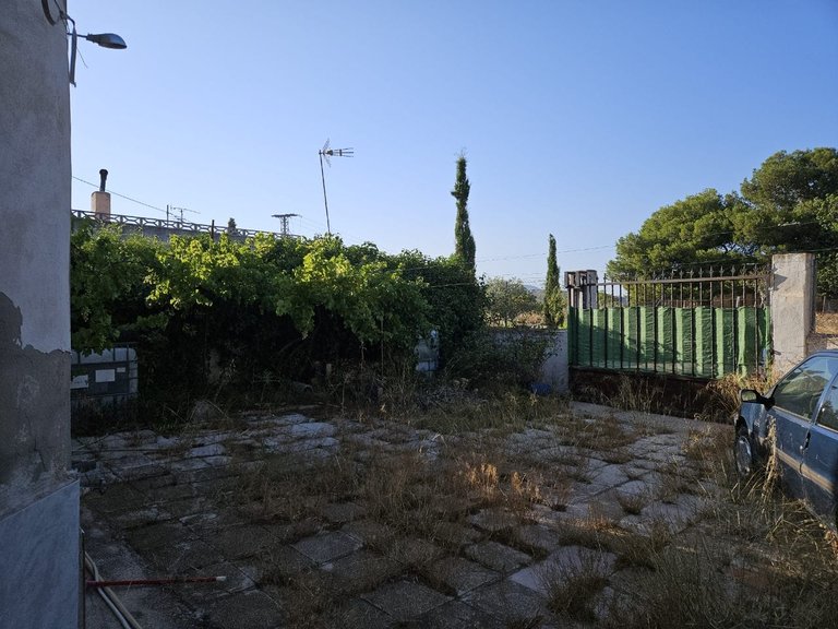 Country House for Sale in Monovar, Alicante 32
