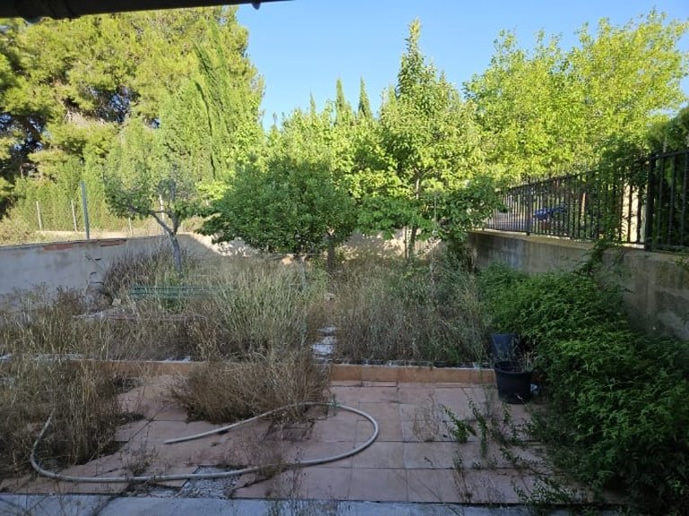 Country House for Sale in Monovar, Alicante 35