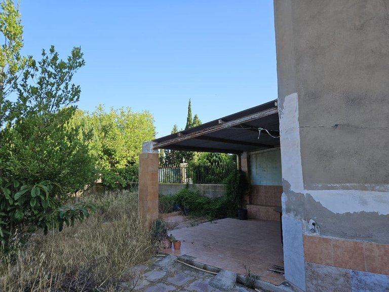 Country House for Sale in Monovar, Alicante 20