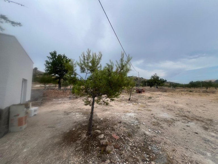 Villa for Sale in La Solana, Alicante 17