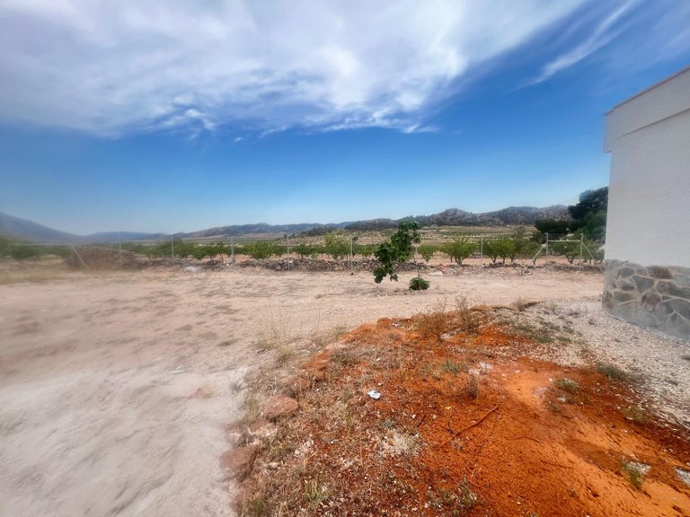 Villa for Sale in La Solana, Alicante 19