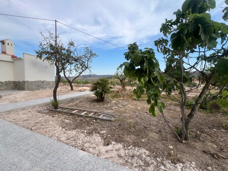 Villa for Sale in La Solana, Alicante 10