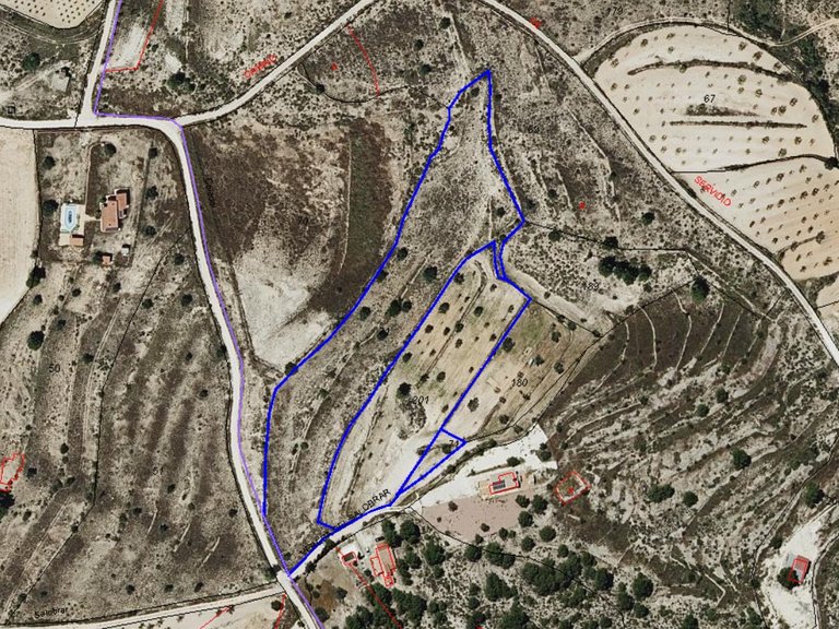 Plot for Sale in Pinoso, Alicante 10