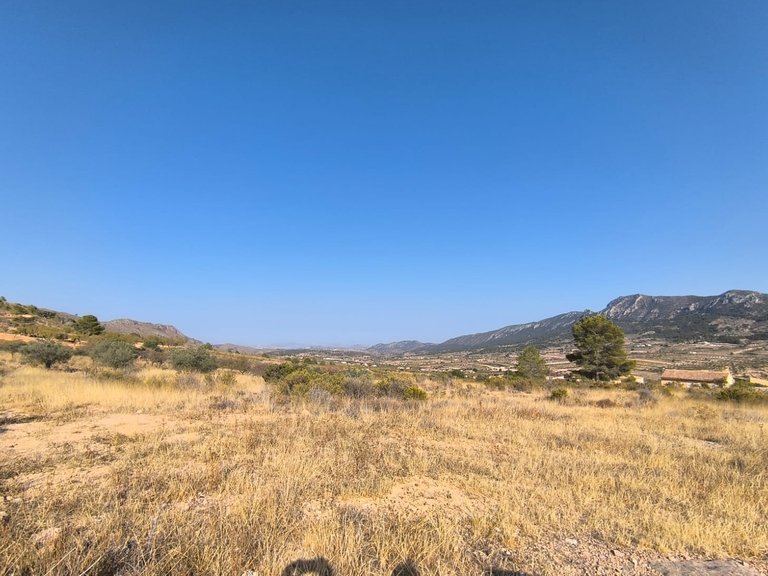 Plot for Sale in Algueña, Alicante 2