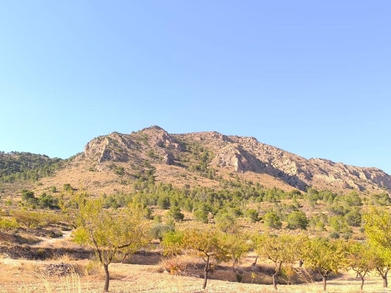 Plot for Sale in Algueña, Alicante 3