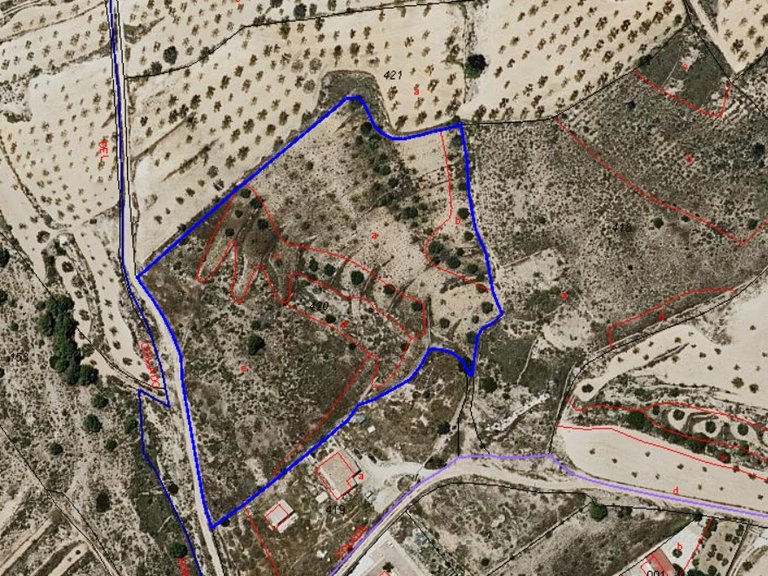 Plot for Sale in Algueña, Alicante 4