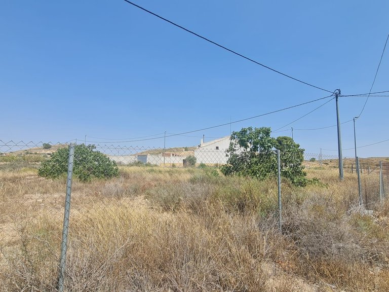 Plot for Sale in Cañada Del Trigo, Alicante 5