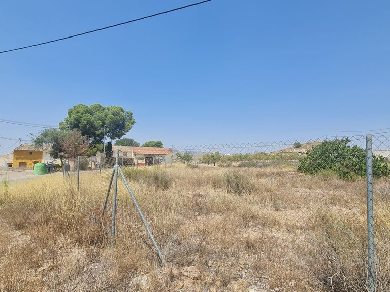 Plot for Sale in Cañada Del Trigo, Alicante 3
