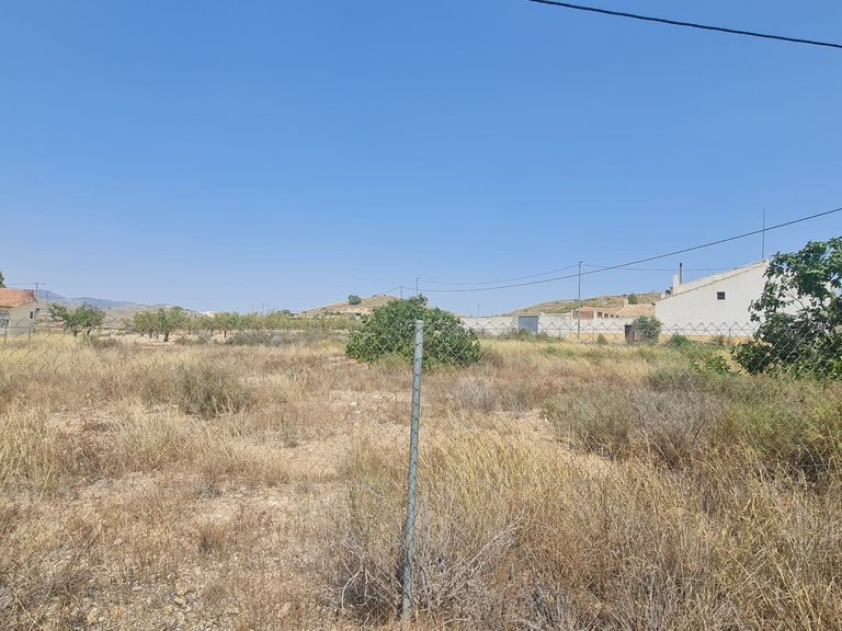 Plot for Sale in Cañada Del Trigo, Alicante 1