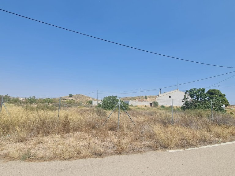 Plot for Sale in Cañada Del Trigo, Alicante 7