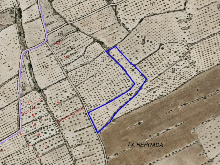Plot for Sale in Pinoso, Alicante 5
