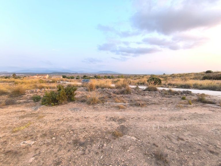 Plot for Sale in Pinoso, Alicante 4