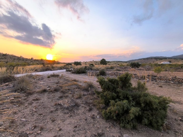 Plot for Sale in Pinoso, Alicante 1