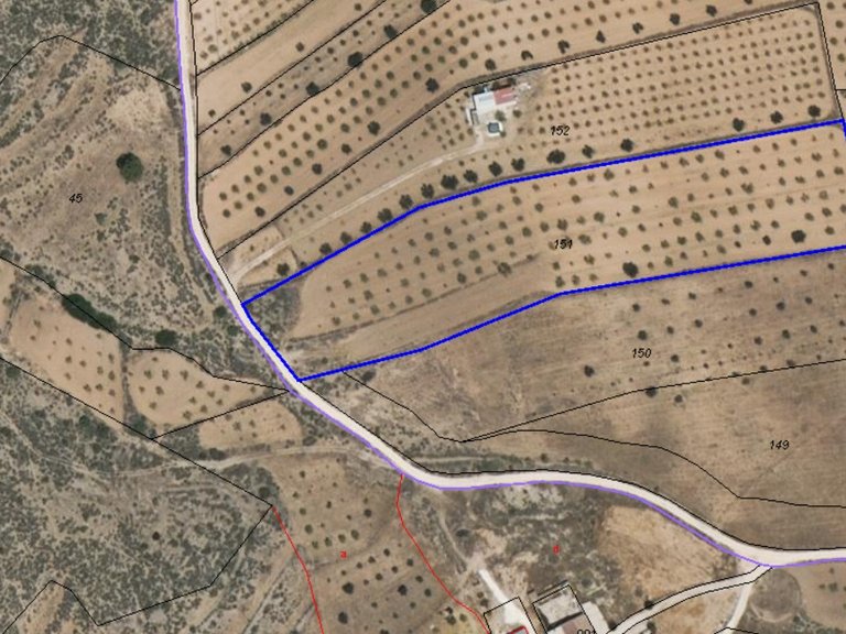Plot for Sale in Pinoso, Alicante 6