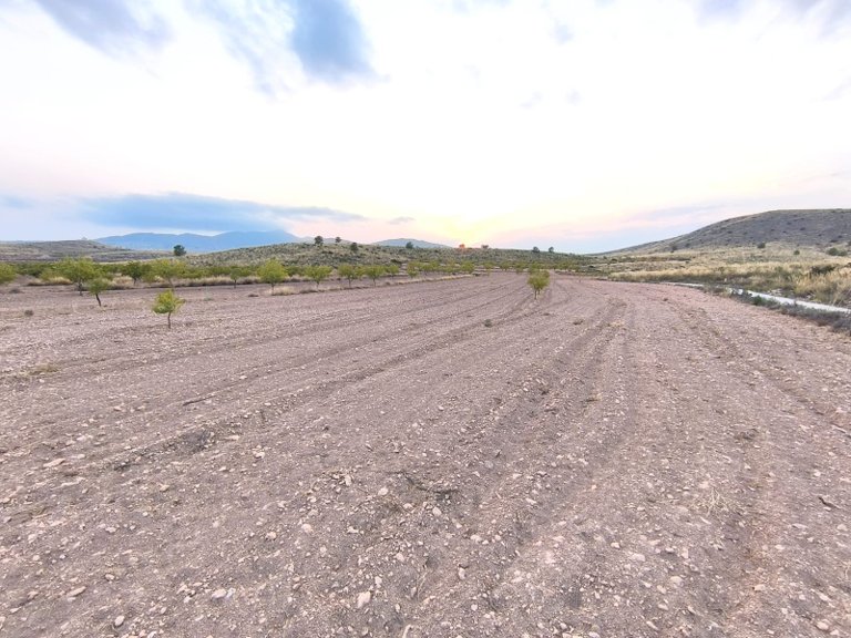 Plot for Sale in Pinoso, Alicante 5