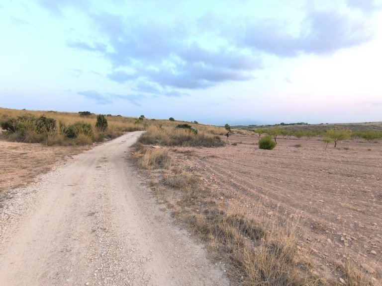 Plot for Sale in Pinoso, Alicante 3
