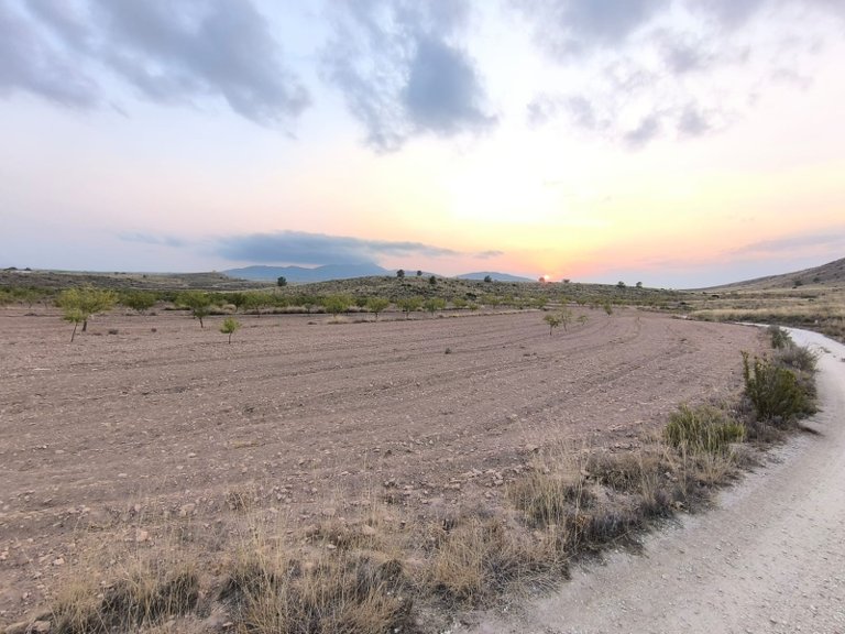 Plot for Sale in Pinoso, Alicante 2