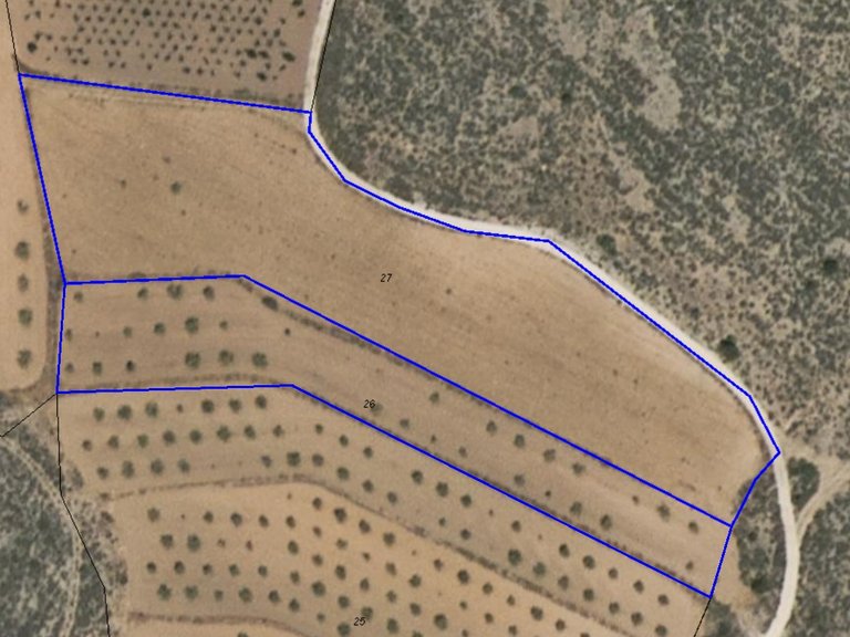 Plot for Sale in Pinoso, Alicante 7