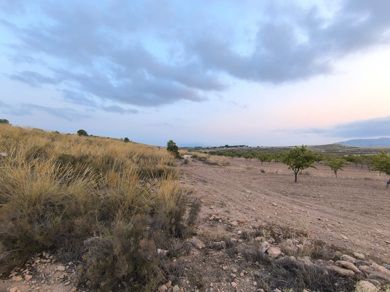 Plot for Sale in Pinoso, Alicante 4