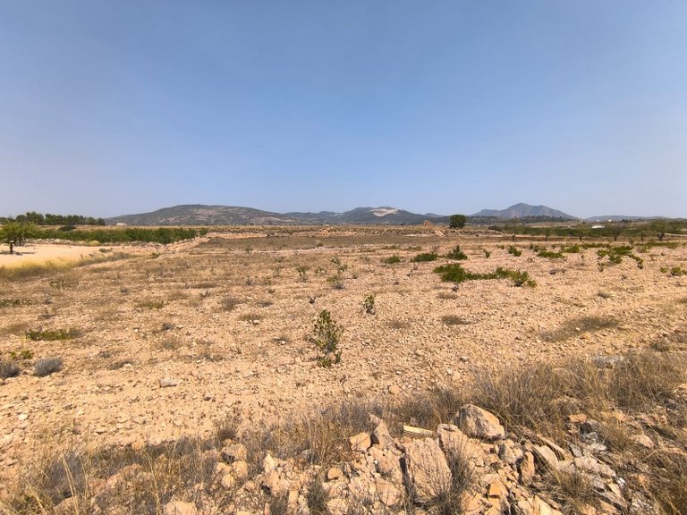 Plot for Sale in Pinoso, Alicante 1