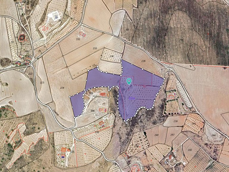Plot for Sale in Pinoso, Alicante 1