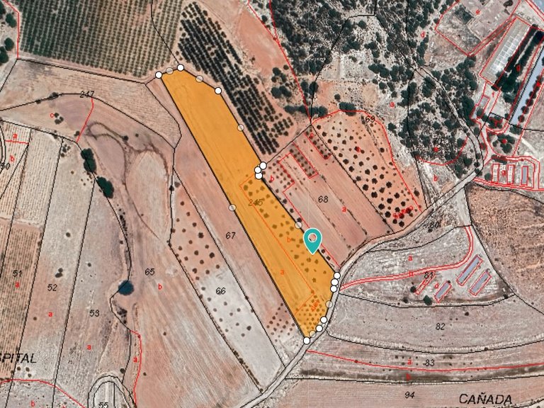 Plot for Sale in Monovar, Alicante 4