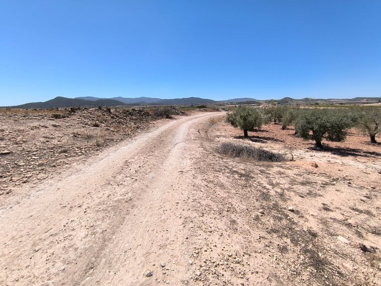 Plot for Sale in Monovar, Alicante 3