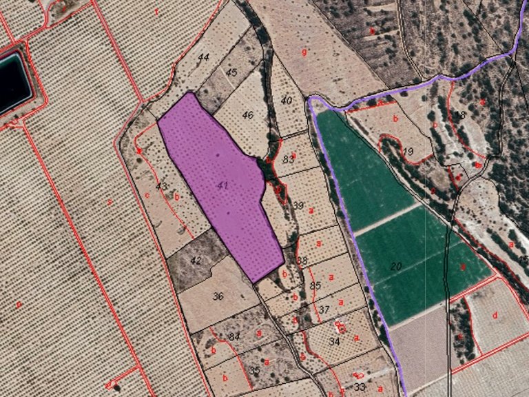 Plot for Sale in Monovar, Alicante 5