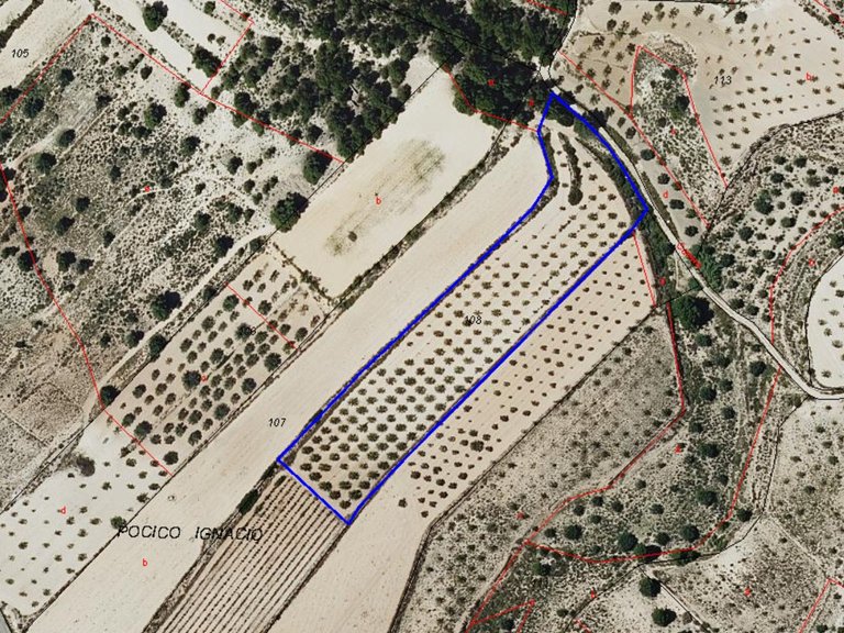 Plot for Sale in Monovar, Alicante 5