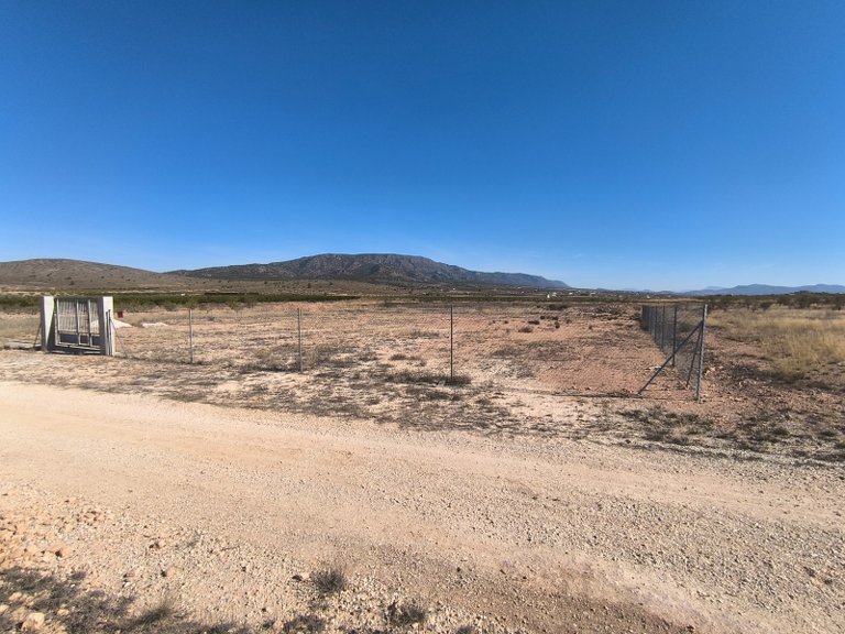 Plot for Sale in Pinoso, Alicante 1