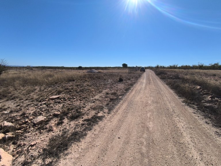 Plot for Sale in Pinoso, Alicante 4