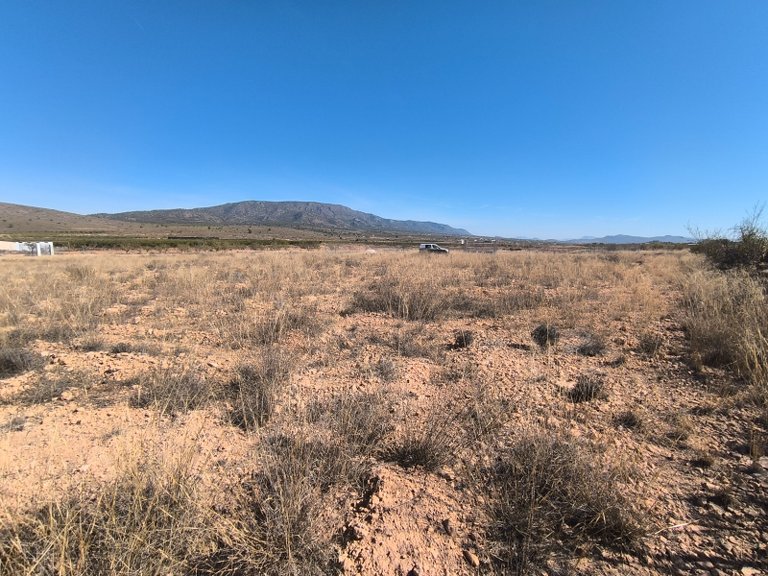 Plot for Sale in Pinoso, Alicante 2