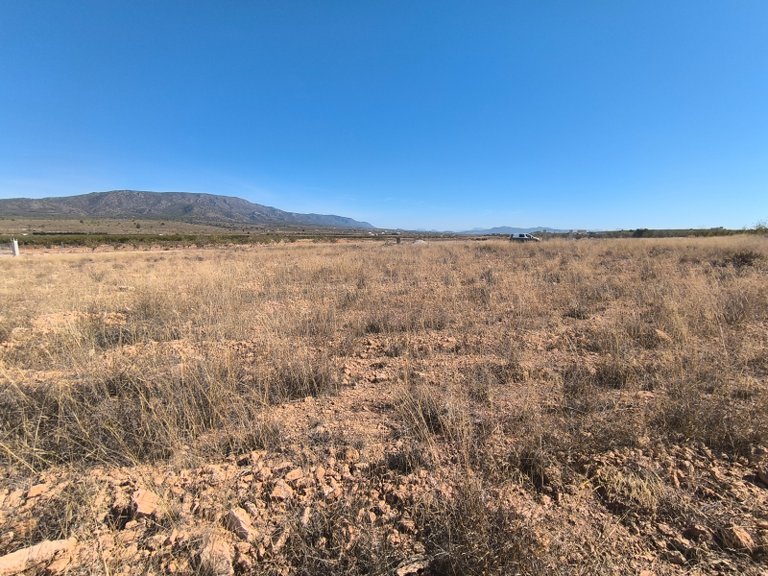 Plot for Sale in Pinoso, Alicante 3