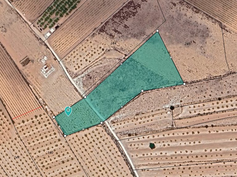 Plot for Sale in Pinoso, Alicante 8