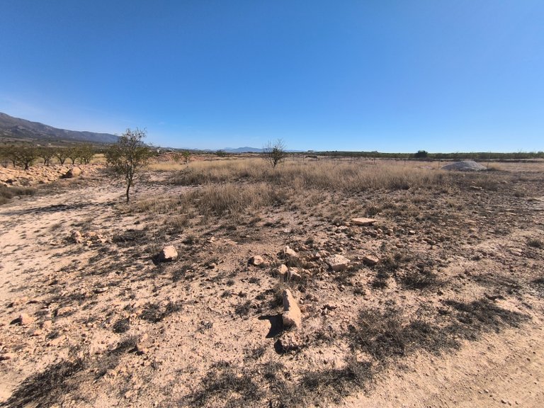 Plot for Sale in Pinoso, Alicante 5